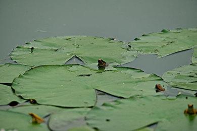 VR只狼《岚：罪恶之城-最终版》11月17日发售